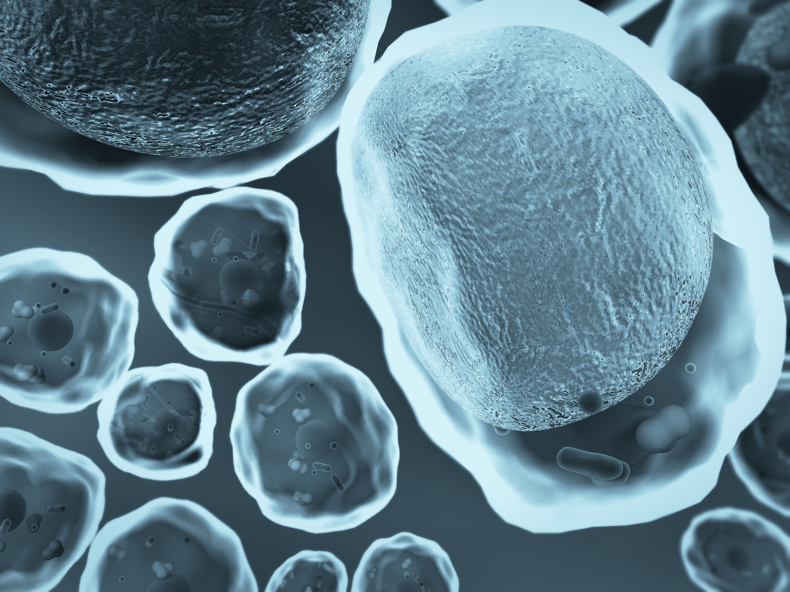 In Vivo Protein Expression