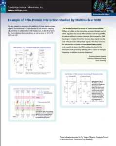 Example of RNA-protein interaction studies by multinuclear nmr