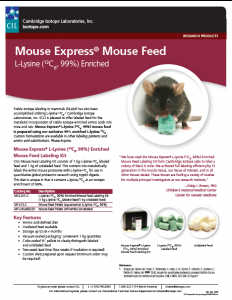 Mouse Feed Image